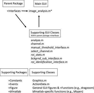 Flexible and open-source programs for quantitative image analysis in microbial ecology